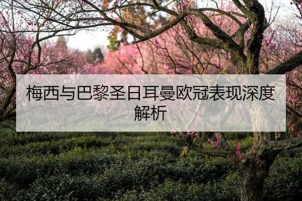 梅西与巴黎圣日耳曼欧冠表现深度解析