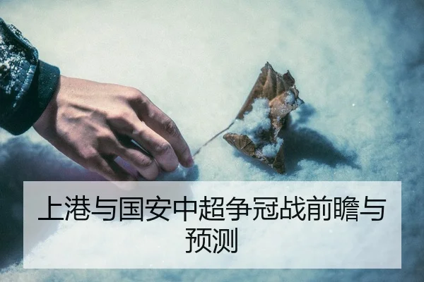 上港与国安中超争冠战前瞻与预测