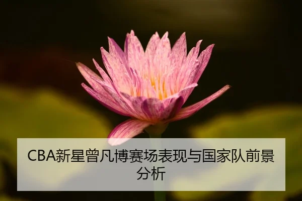 xin-xing-ceng-fan-bo-sai-chang-biao-xian-yu-guo-jia-dui-qian-jing-fen-xi-2-147.jpg